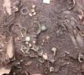 Dijelovi brončane nošnje i nakita u Zakotorcu